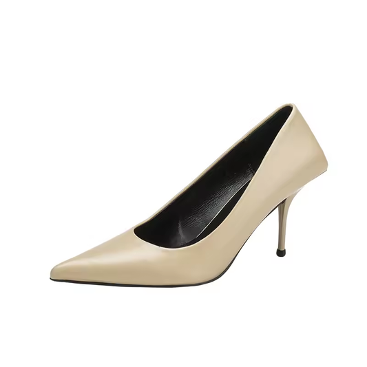 Women's Pointed Court Heel Shoes