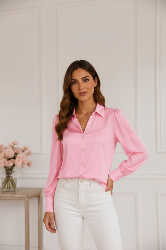 Womens Dressy Long Sleeve Blouse