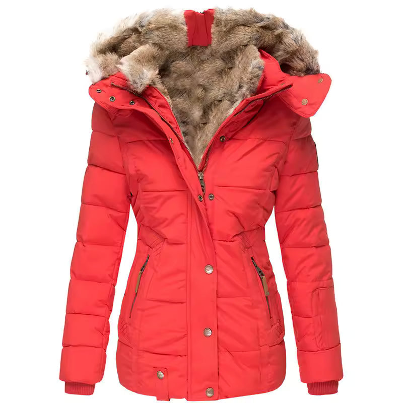Women's Regular Fit Winter Jacket